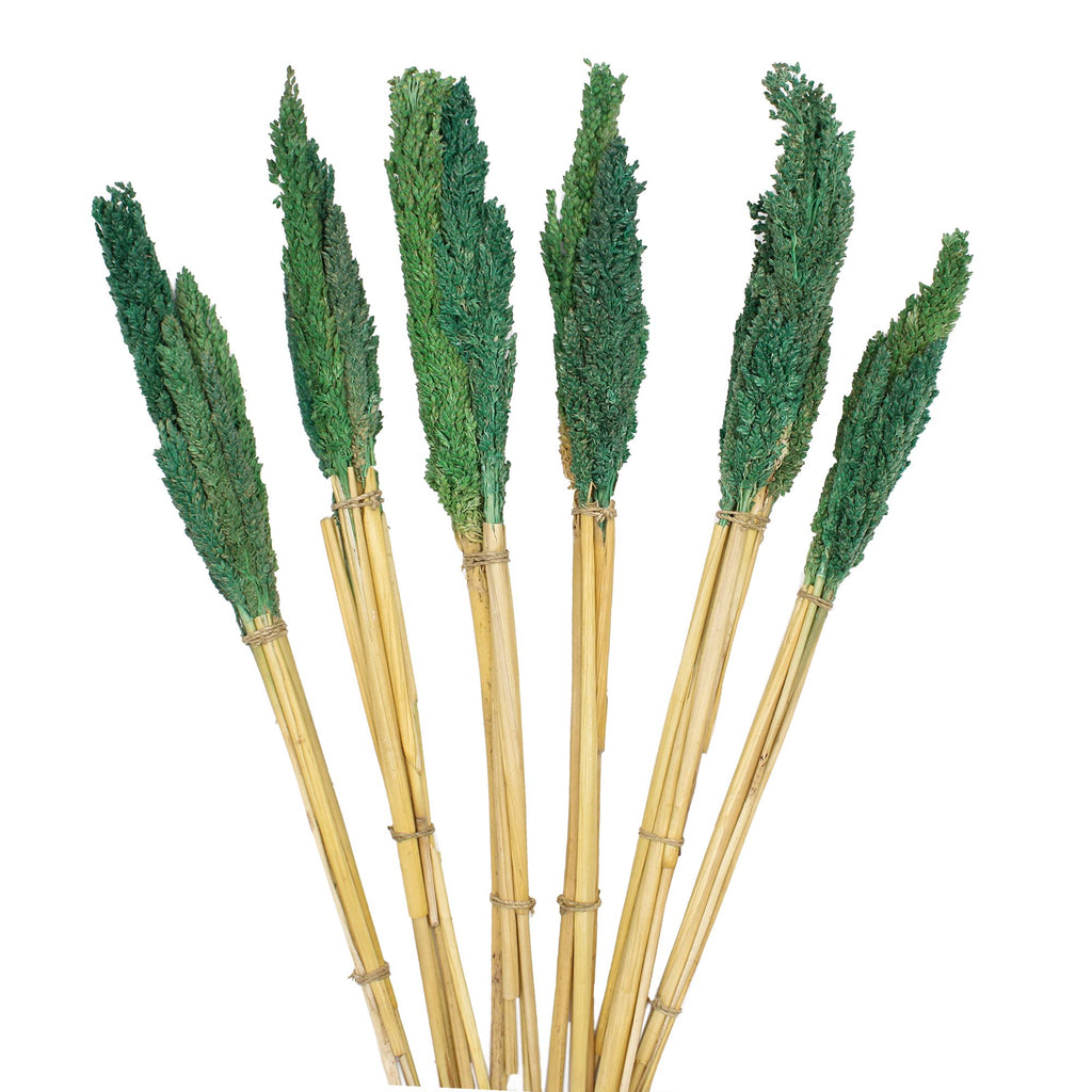 Cantal Grass Bunch - Teal product image 3