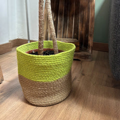 Set of 3 Cotton Rope Storage Baskets - Pistachio product image 2