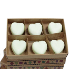 Box of 6 Wax Melts - Apple Spice product image 4