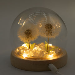Floral Glow Garden Dome - 2 Dandelions - LED USB product image 6