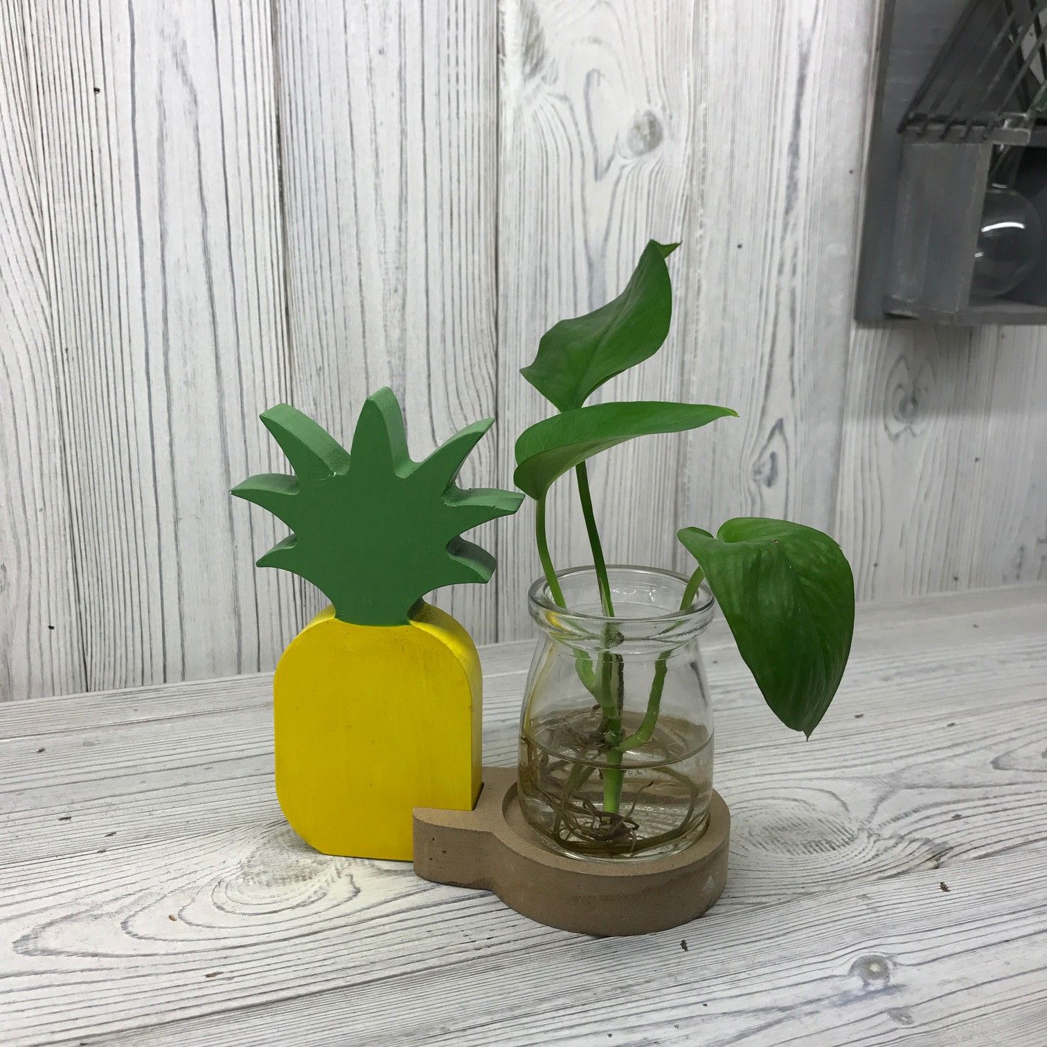 Hydroponic Home Décor - Pineapple Pot product image