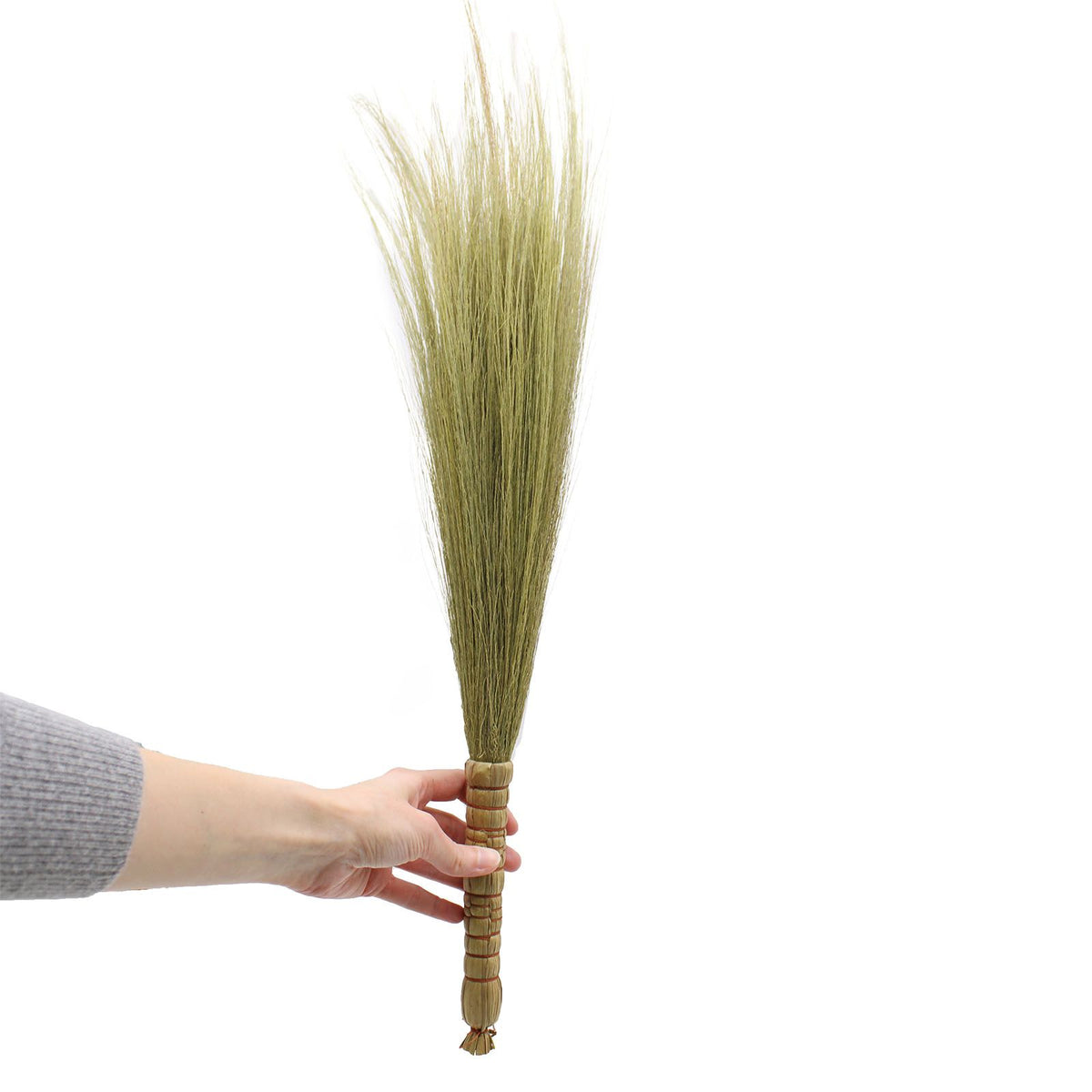 Set 4 - Pampas Broom - Natural product image 3