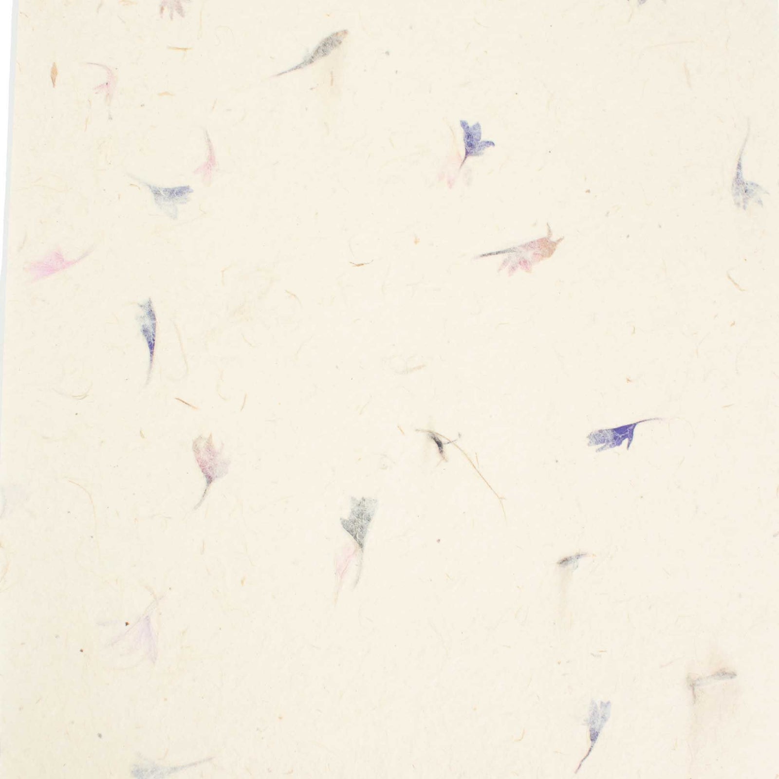 A4 - Lokta Craft Paper (20 sheet pack) - Cornflower product image