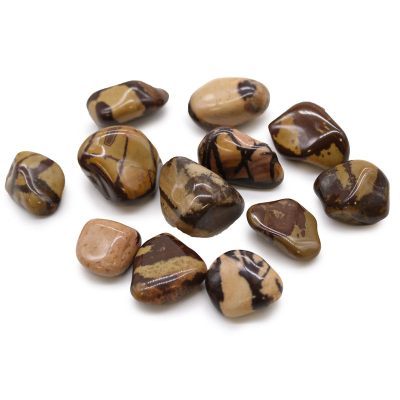 Medium African Tumble Stones - Jasper Nguni product image
