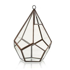 Glass Terrarium - Large Pentagon product image 3