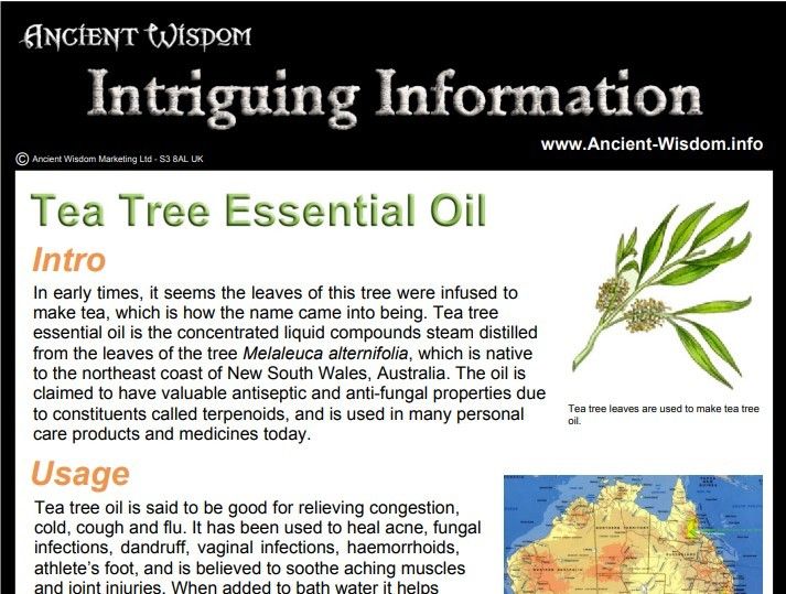 Tea Tree Essential Oil Info product image