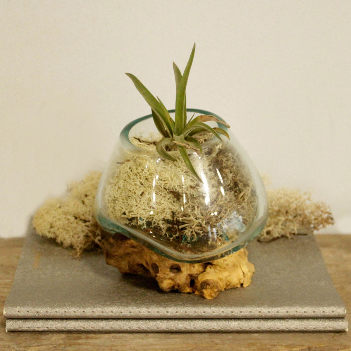 Molten Glass on Wood - Small Bowl product image 5