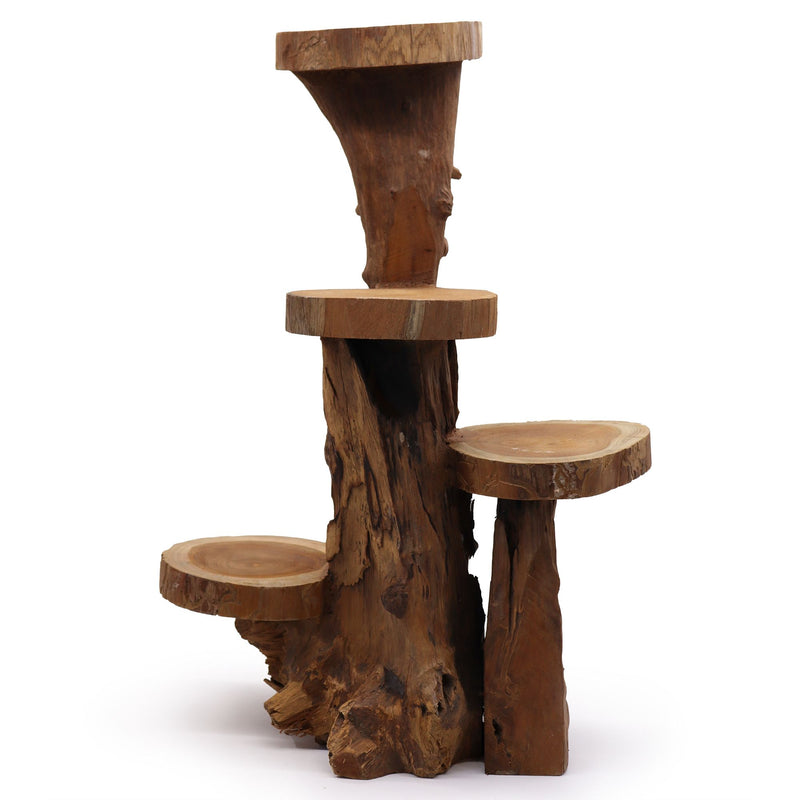 Natural Teak 4 Shelf Display 75cm high product image