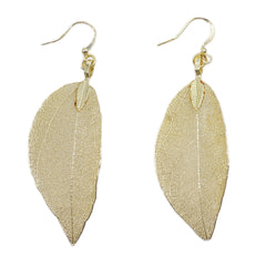 Earrings - Bravery Leaf - Gold product image
