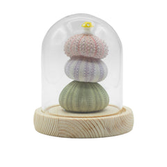 Floral Glow Garden Dome - 3 Sea Urchins - LED USB product image 2