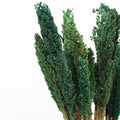 Cantal Grass Bunch - Teal product image