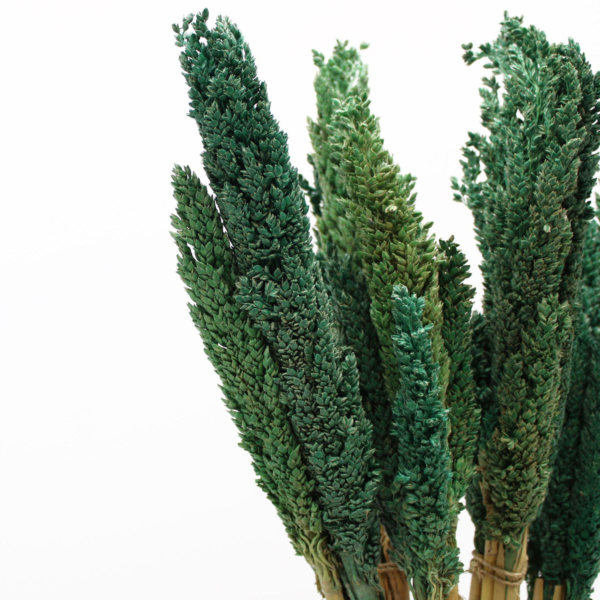 Cantal Grass Bunch - Teal product image
