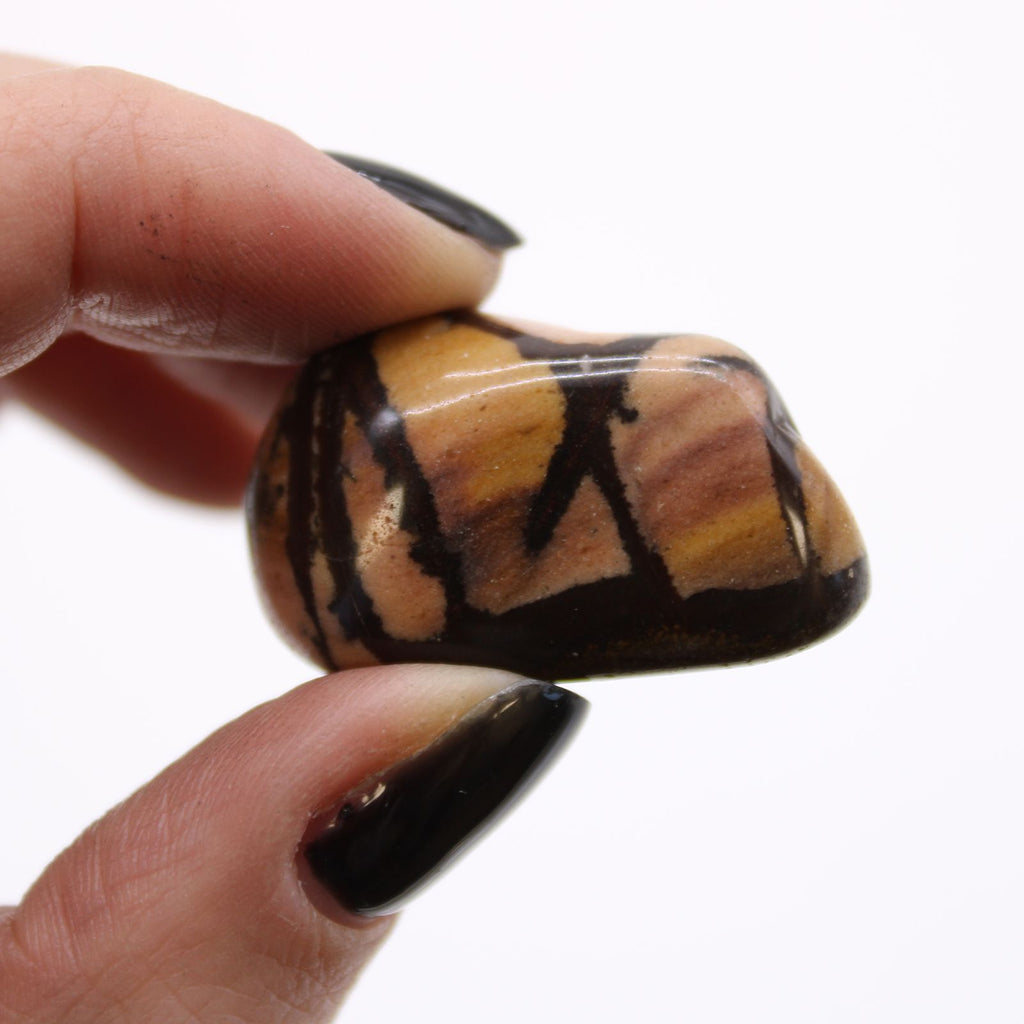 Medium African Tumble Stones - Jasper Nguni product image 2