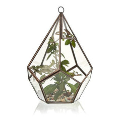 Glass Terrarium - Large Pentagon product image 2