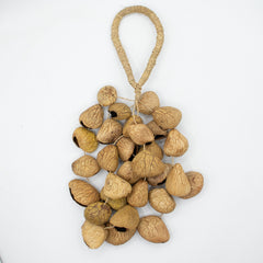 Medium Pangi Seed Shell - Natural Nut Shaker (30 Shells) product image 4