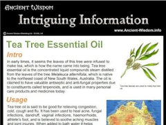 Tea Tree Essential Oil Info product image 2