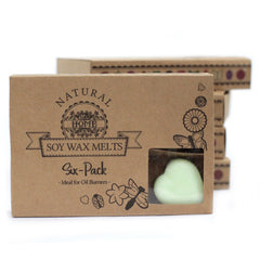 Box of 6 Wax Melts - Apple Spice product image 2