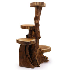 Natural Teak 4 Shelf Display 75cm high product image 3