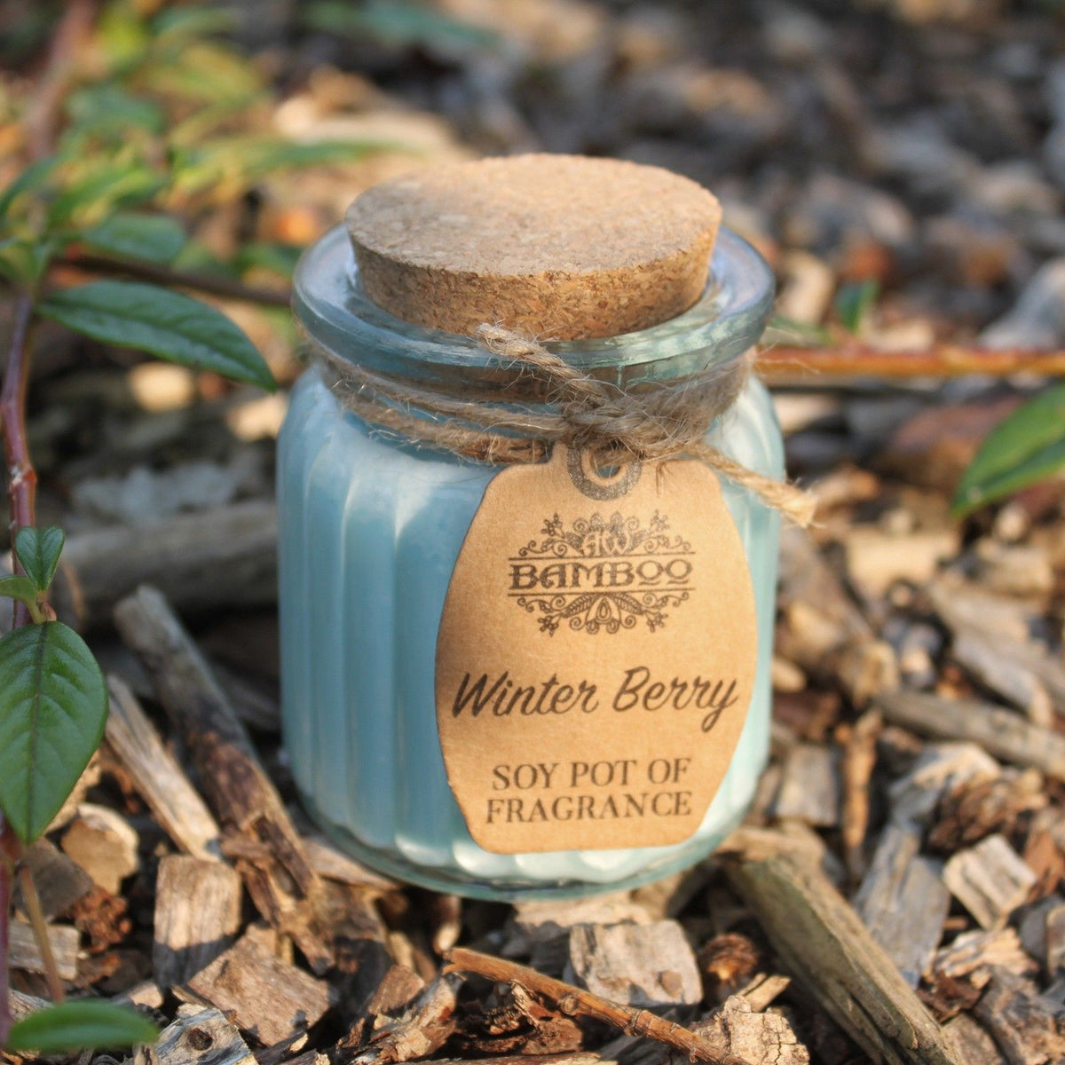 Winter Berry Soy Pot of Fragrance Candles product image 2