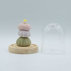 Floral Glow Garden Dome - 3 Sea Urchins - LED USB product image 3