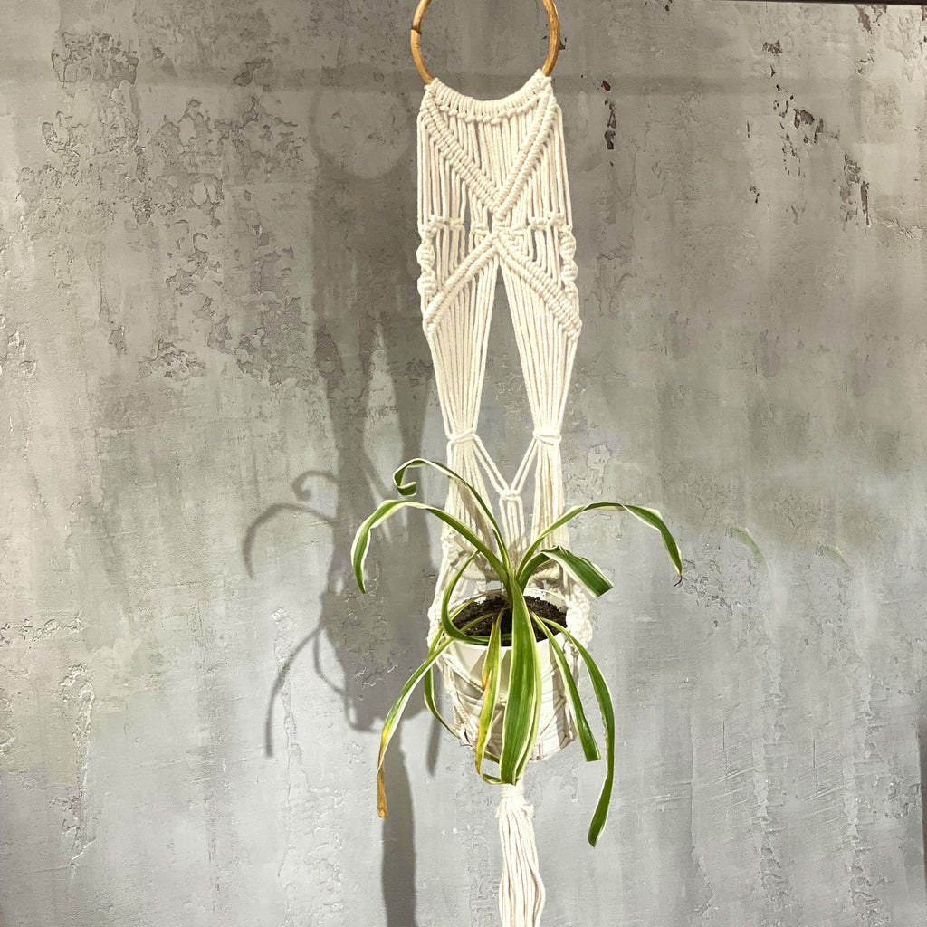 Macrame Pot Holder - Long With Ratten Hoop product image 7