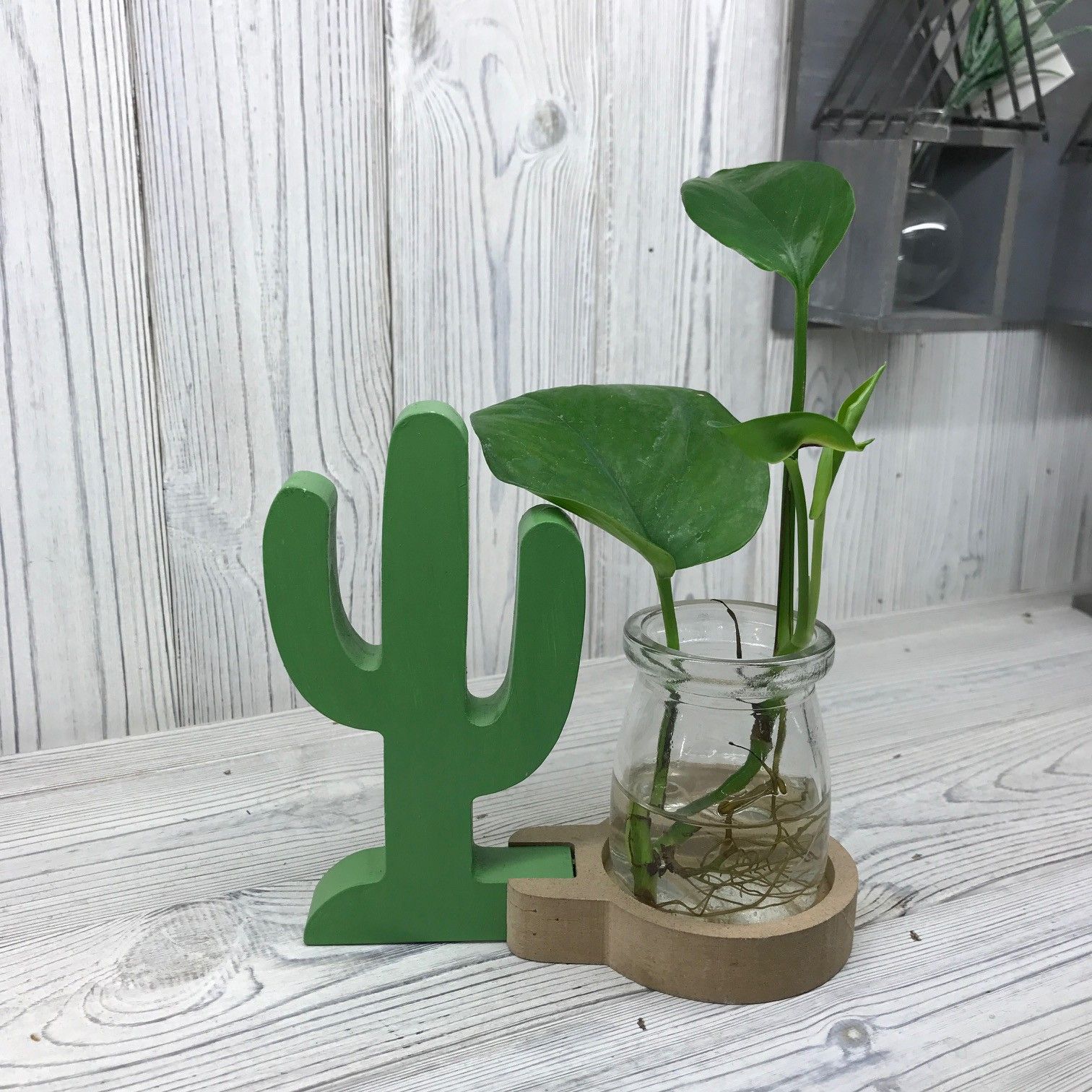 Hydroponic Home Décor - Cactus Pot product image