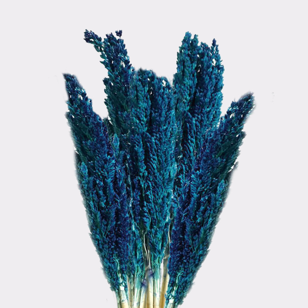Cantal Grass Bunch - Blue product image