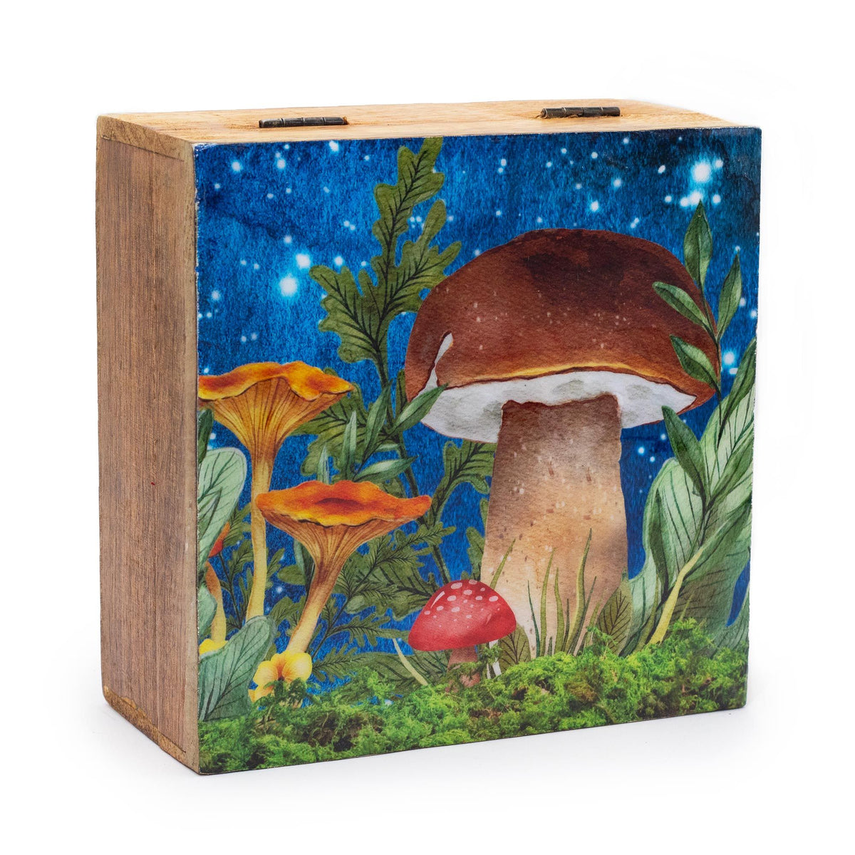 Big Square Box 15x17.5x8cm - Mushroom Design Teal product image 2