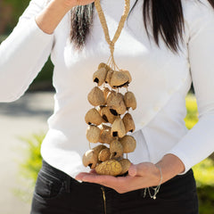 Medium Pangi Seed Shell - Natural Nut Shaker (30 Shells) product image 2