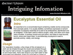 Eucalyptus Essential Oil Info product image