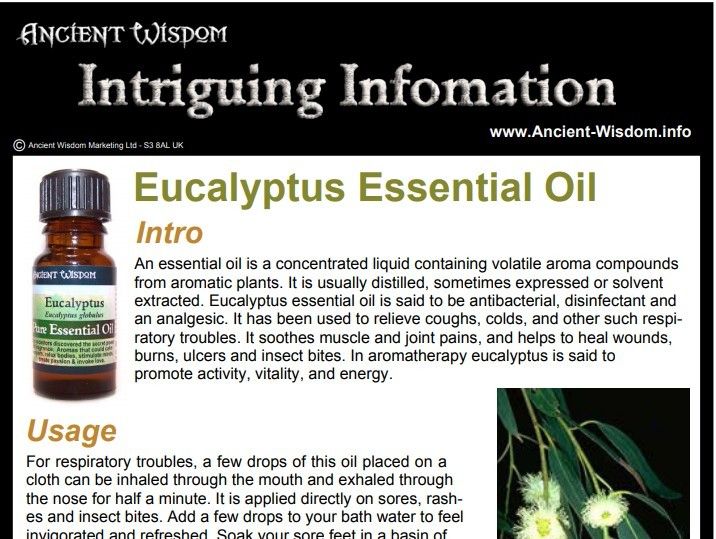 Eucalyptus Essential Oil Info product image
