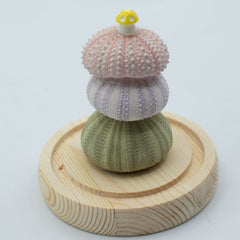 Floral Glow Garden Dome - 3 Sea Urchins - LED USB product image 4