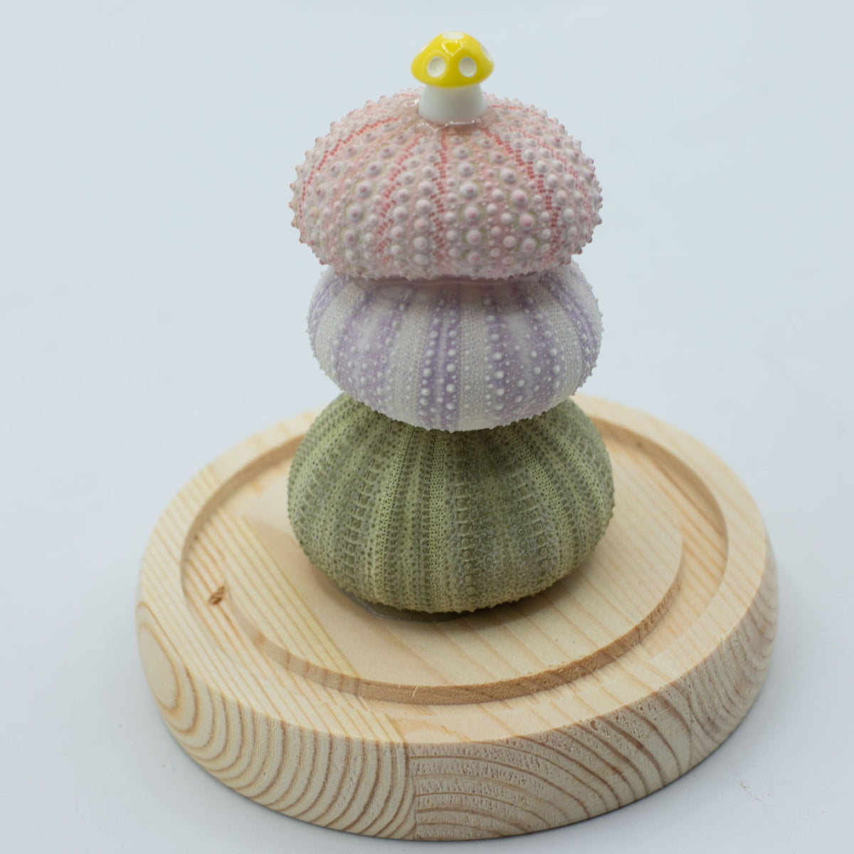 Floral Glow Garden Dome - 3 Sea Urchins - LED USB product image 4