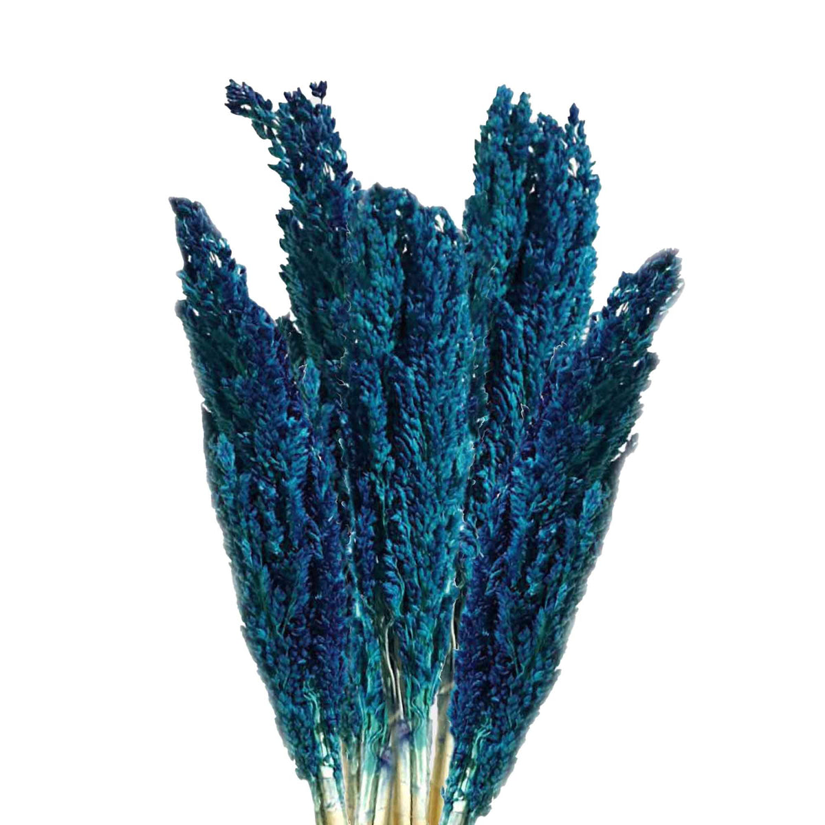 Cantal Grass Bunch - Blue product image 2