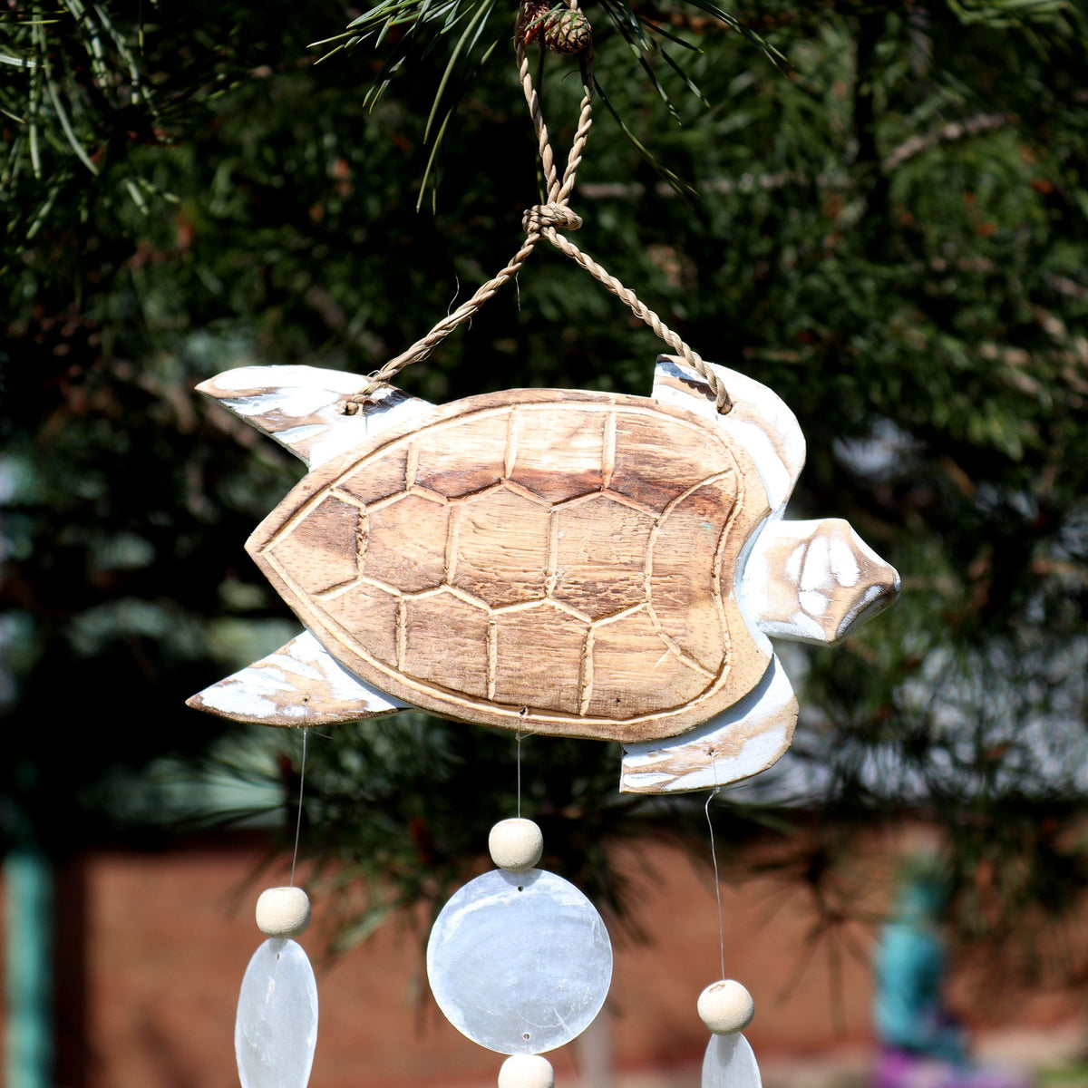 Whitewash Turtle Carving and Natural Copis Drop product image 4