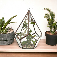 Glass Terrarium - Large Pentagon product image 5