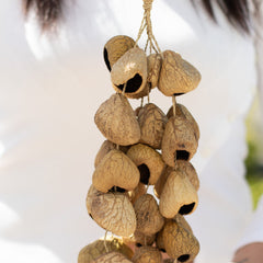 Medium Pangi Seed Shell - Natural Nut Shaker (30 Shells) product image 7