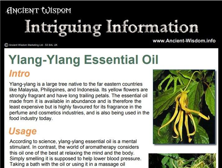 Rosemary Essential Oil Info product image