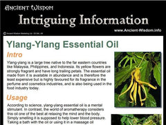 Rosemary Essential Oil Info product image