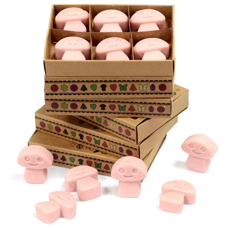 Box of 6 Wax Melts - Coffee Trader product image