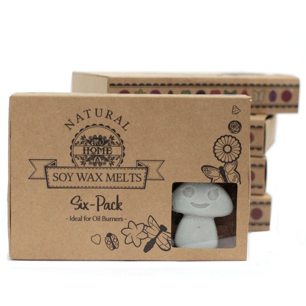 Box of 6 Wax Melts - Dark Patchouli product image 4