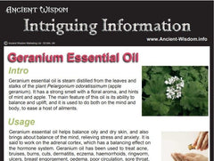 Geranium Essential Oil Info product image