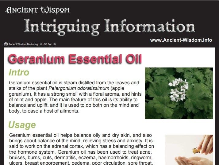 Geranium Essential Oil Info product image