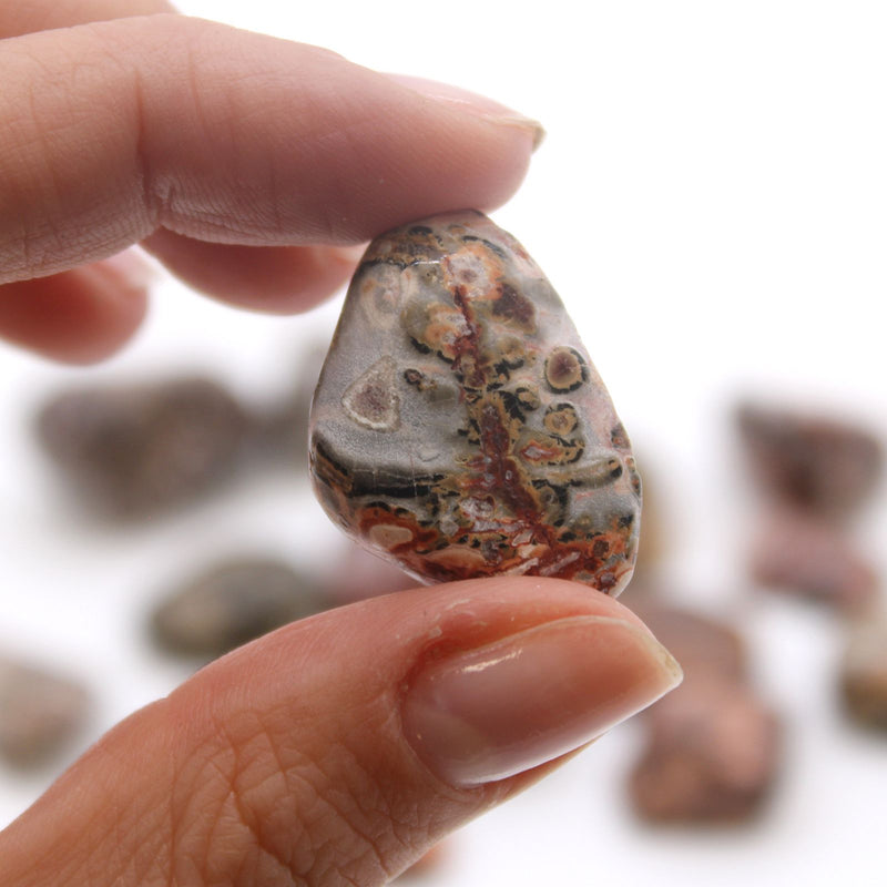 M Tumble Stone - Leopard Skin product image