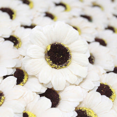 Craft Soap Flowers - Sml Sunflower - Ivory product image 3