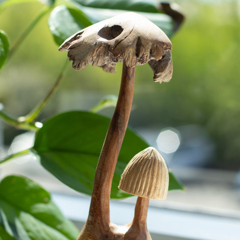 Handmade Parasite Wood Art Carving - Set of Two Mushoorms product image
