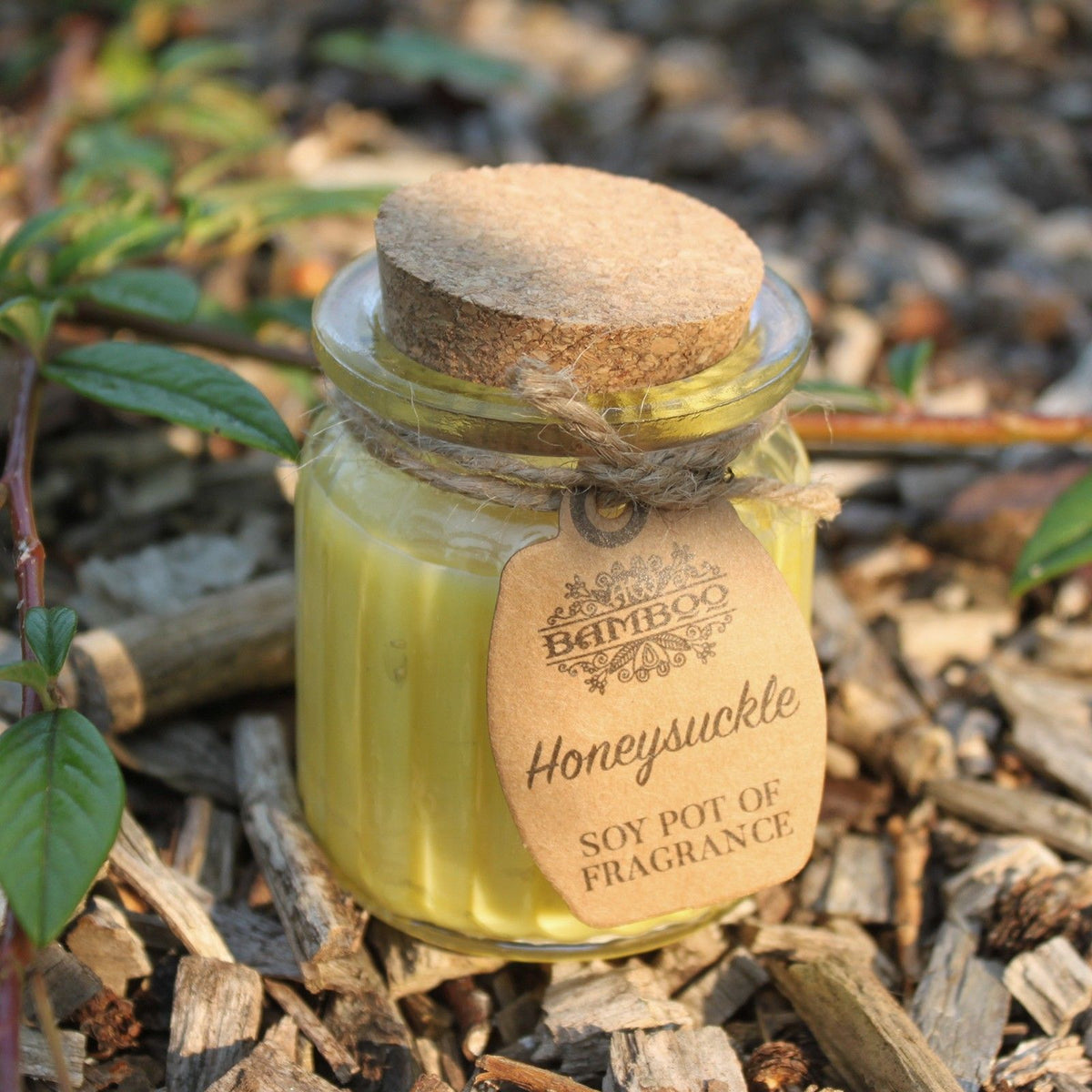 Honeysuckle Soy Pot of Fragrance Candles product image 2