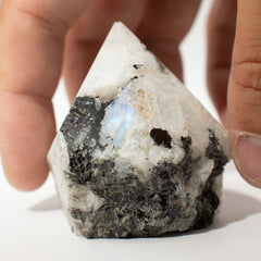 Gemstone Top Polished Points - Rainbow Moonstone (approx 5-6 pieces) product image 3