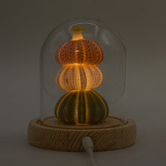 Floral Glow Garden Dome - 3 Sea Urchins - LED USB product image 6