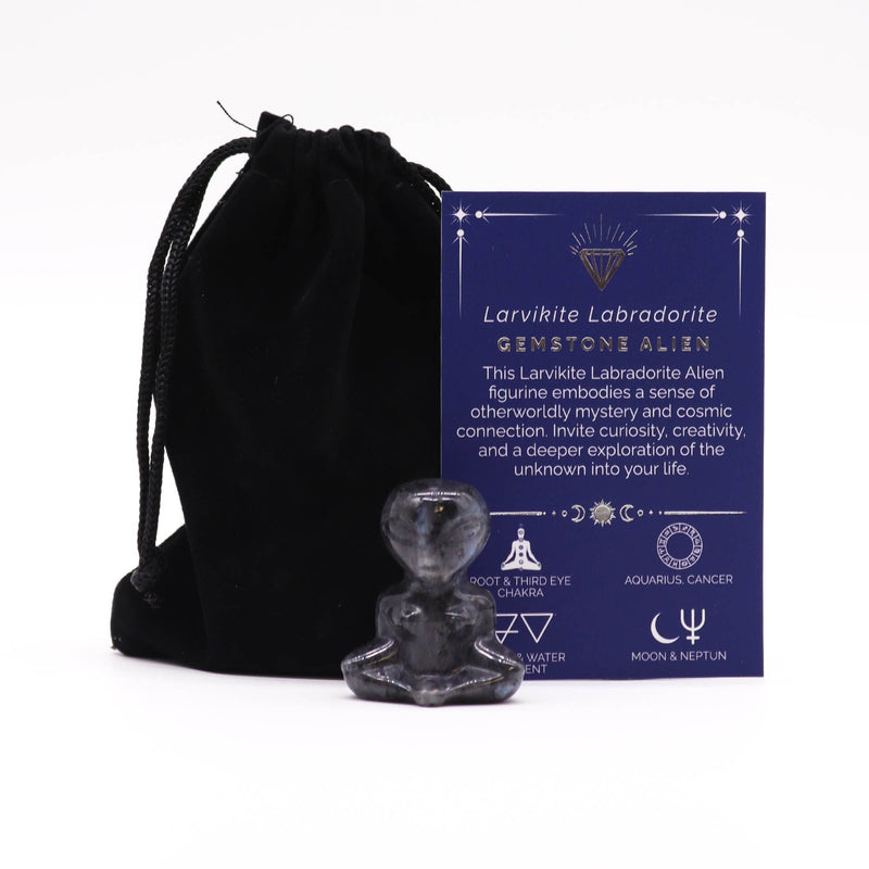 Gemstone Alien - Larvikite Labradorite product image